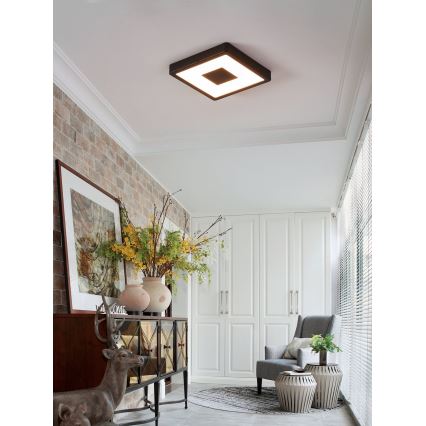 Eglo - Светодиодный уличный потолочный светильник LED/17W/230V IP44 черный