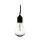 Eglo - Вулична декоративна LED гірлянда 10xLED/0,06W/3V IP44