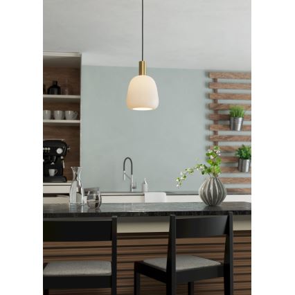 Eglo - Люстра на тросі 1xE27/40W/230V