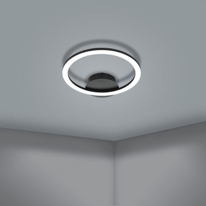 Eglo - Стельовий LED світильник з регулюванням яскравості LED/15W/230V