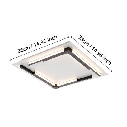 Eglo - Светодиодный потолочный светильник с регулированием яркости LED/25W/230V
