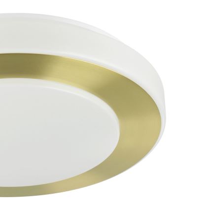 Eglo - Светодиодный потолочный светильник для ванной комнаты LED/10,8W/230V IP44