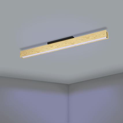 Eglo - Потолочный RGBW-светильник с регулированием яркости LED/35W/230V 2700-6500K