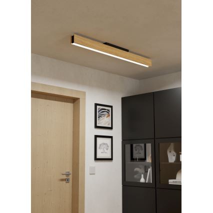 Eglo - Стельовий RGBW-світильник з регулюванням яскравості LED/35W/230V 2700-6500K