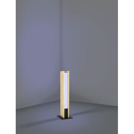 Eglo - LED RGBW Настільна лампа з регулюванням яскравості LED/16W/230V 2700-6500K