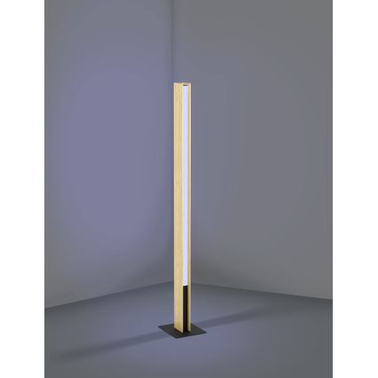 Eglo - LED RGBW Торшер з регулюванням яскравості LED/35W/230V 2700-6500K
