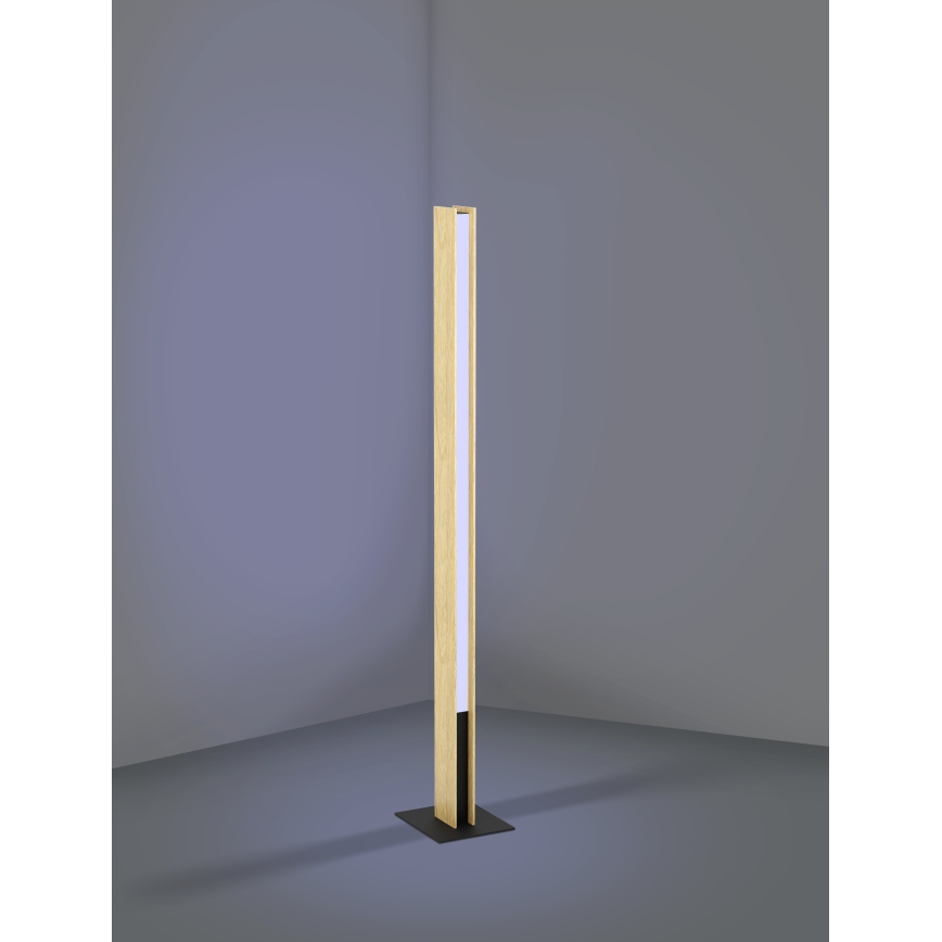 Eglo - LED RGBW Торшер з регулюванням яскравості LED/35W/230V 2700-6500K