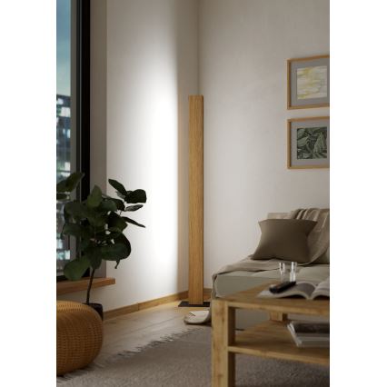 Eglo - Светодиодный RGBW-торшер с регулированием яркости LED/35W/230V 2700-6500K