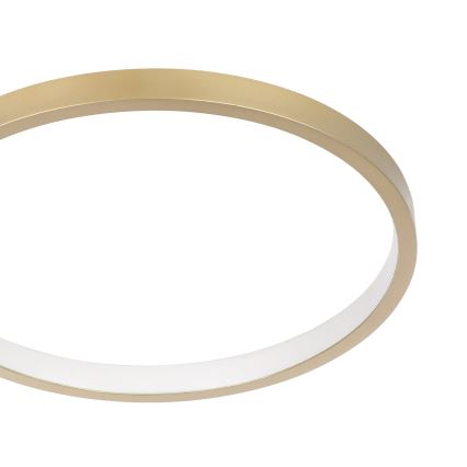 Eglo - Светодиодный потолочный светильник с регулированием яркости LED/15W/230V золотой + дистанционное управление