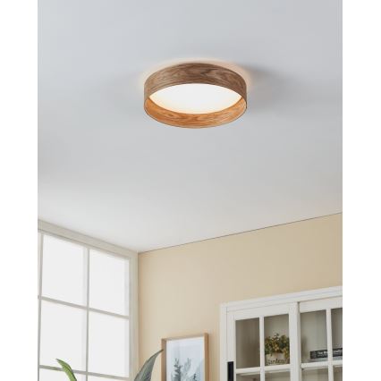 Eglo - Стельовий LED світильник LED/24W/230V