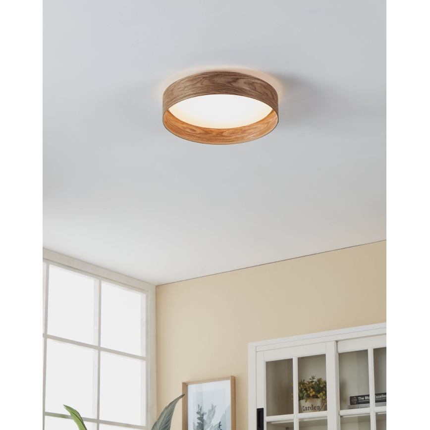 Eglo - Стельовий LED світильник LED/24W/230V