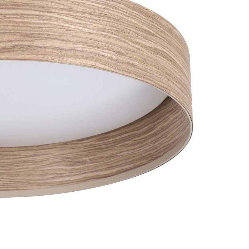 Eglo - Стельовий LED світильник LED/24W/230V