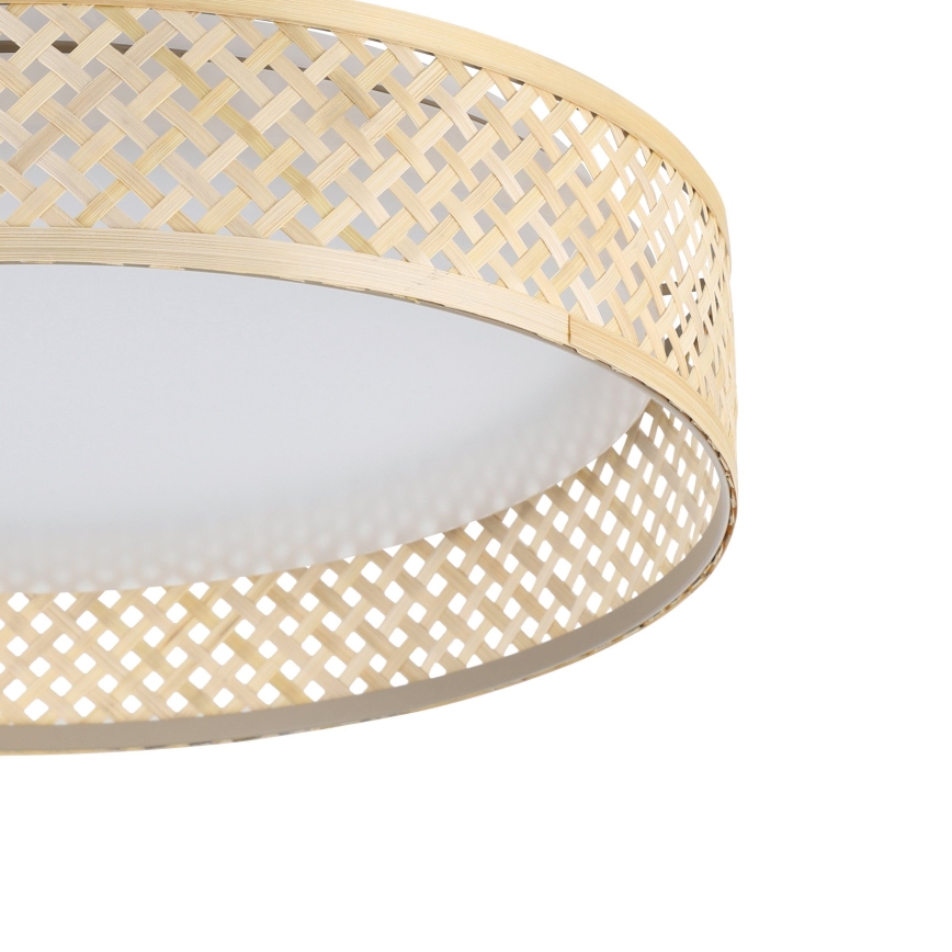 Eglo - Стельовий LED світильник LED/24W/230V