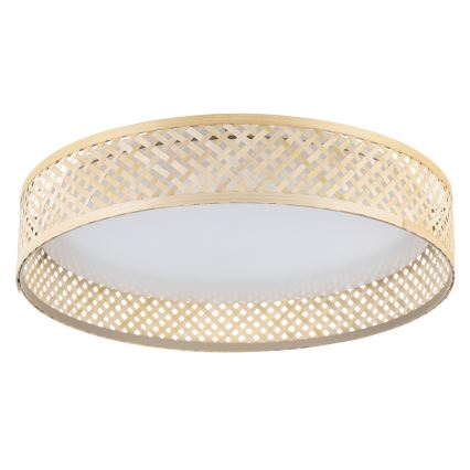 Eglo - Стельовий LED світильник LED/24W/230V