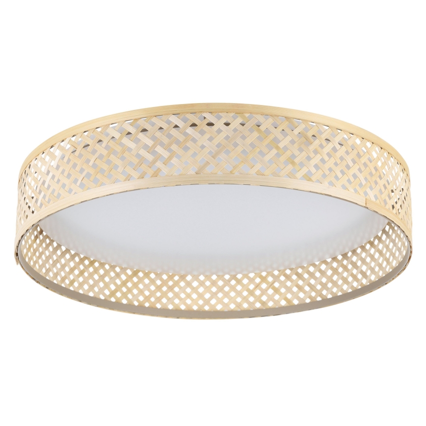 Eglo - Стельовий LED світильник LED/24W/230V
