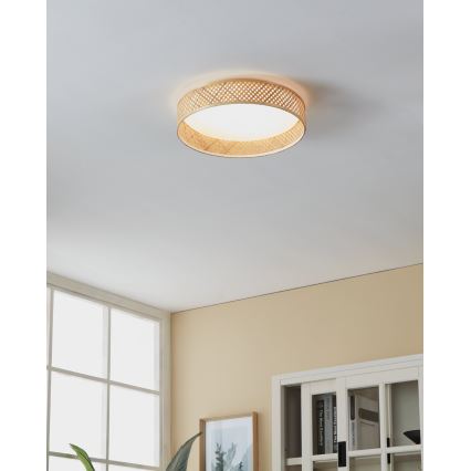 Eglo - Светодиодный потолочный светильник LED/24W/230V