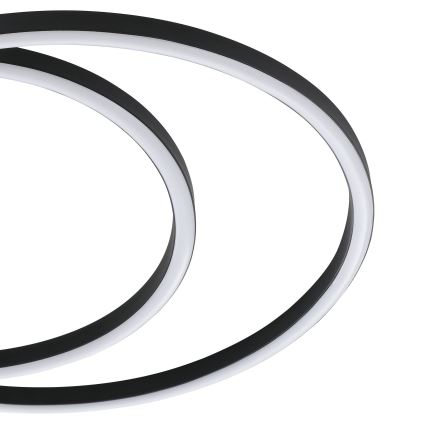 Eglo - Стельовий LED світильник LED/36W/230V