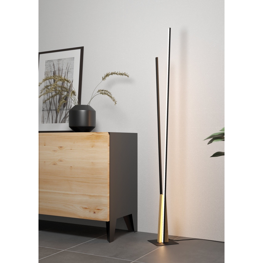 Eglo - Светодиодный торшер LED/24W/230V