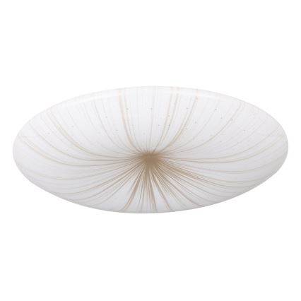 Eglo - Стельовий LED світильник LED/10W/230V