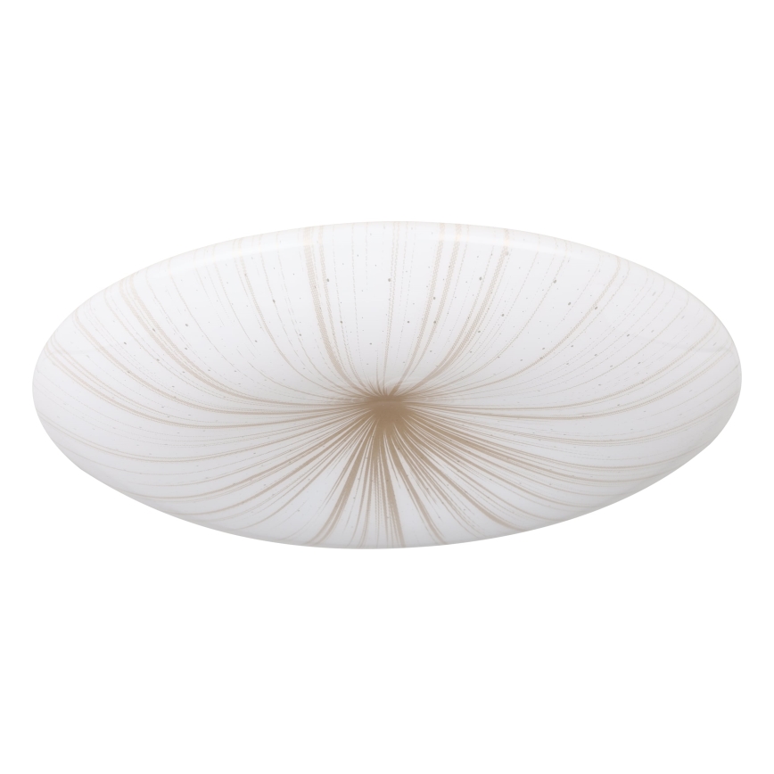 Eglo - Светодиодный потолочный светильник LED/10W/230V
