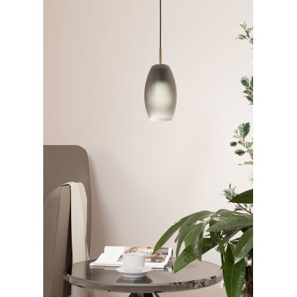Eglo - Люстра на тросі 1xE27/40W/230V