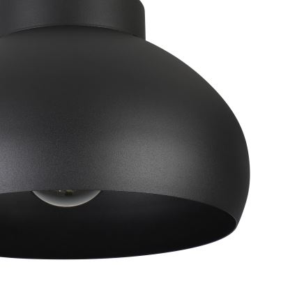 Eglo - Потолочный светильник 1xE27/40W/230V черный