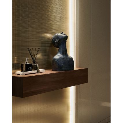 Eglo - Светодиодная лента с регулированием яркости 2 м LED/13,2W/24/230V 2700-6500K + дистанционное управление