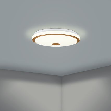 Eglo - Стельовий LED світильник з регулюванням яскравості LED/24W/230V + дистанційне керування