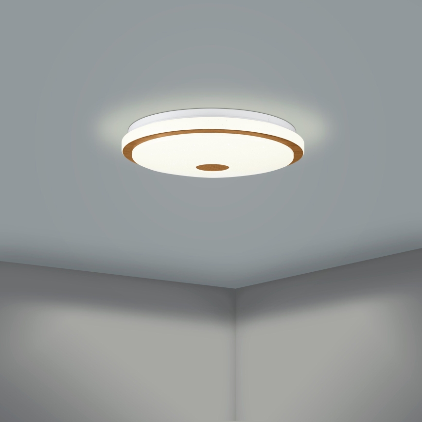 Eglo - Светодиодный потолочный светильник с регулированием яркости LED/24W/230V + дистанционное управление