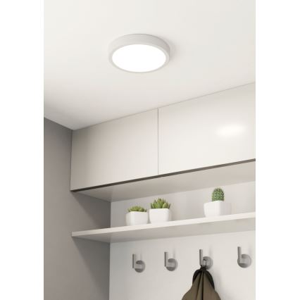 Eglo - Світлодіодний стельовий світильник для ванної кімнати LED/17W/230V білий IP44