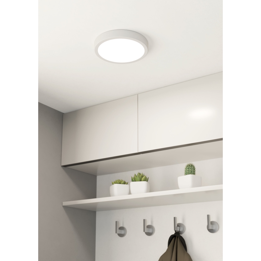 Eglo - Світлодіодний стельовий світильник для ванної кімнати LED/17W/230V білий IP44