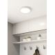 Eglo - Світлодіодний стельовий світильник для ванної кімнати LED/17W/230V білий IP44