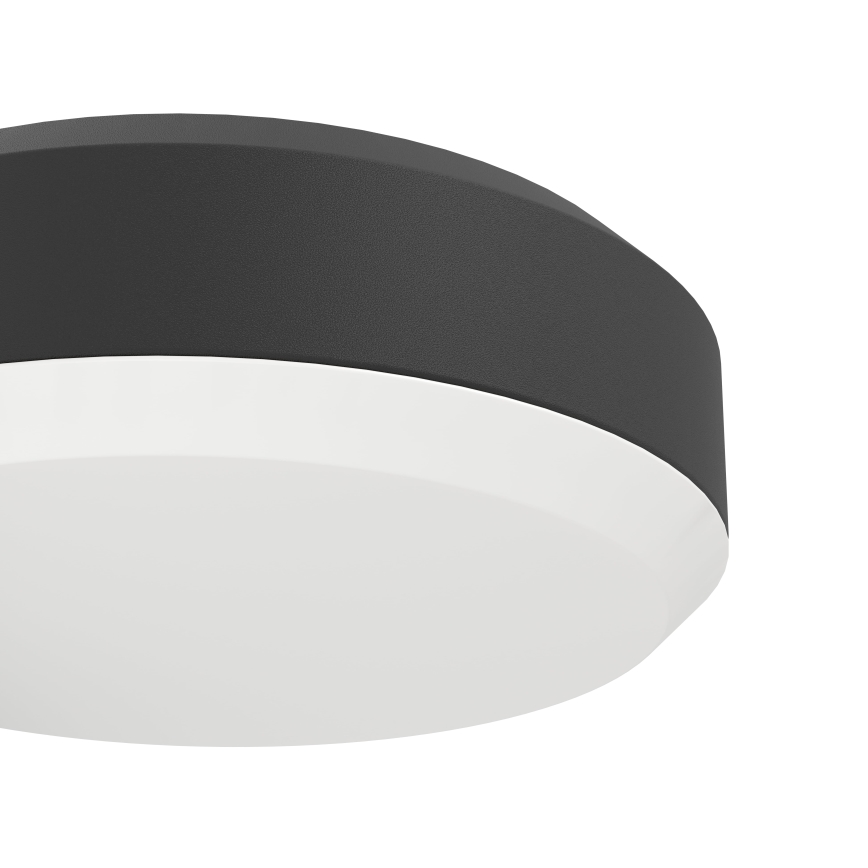 Eglo - LED Вуличний настінний світильник з датчиком LED/10,8/230V IP44