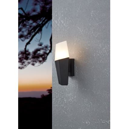 Eglo - Вуличний настінний світильник 1xE27/25W/230V IP44