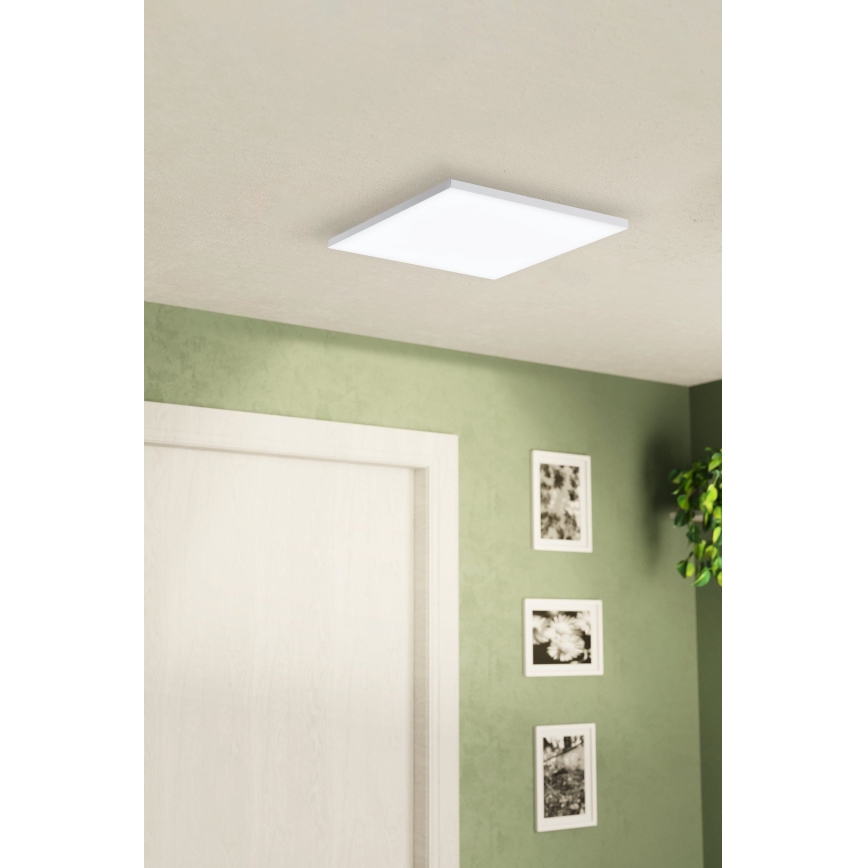 Eglo - Светодиодный потолочный светильник LED/10,8W/230V