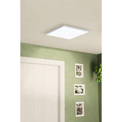 Eglo - Светодиодный потолочный светильник LED/10,8W/230V