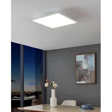 Eglo - Стельовий LED світильник LED/21W/230V