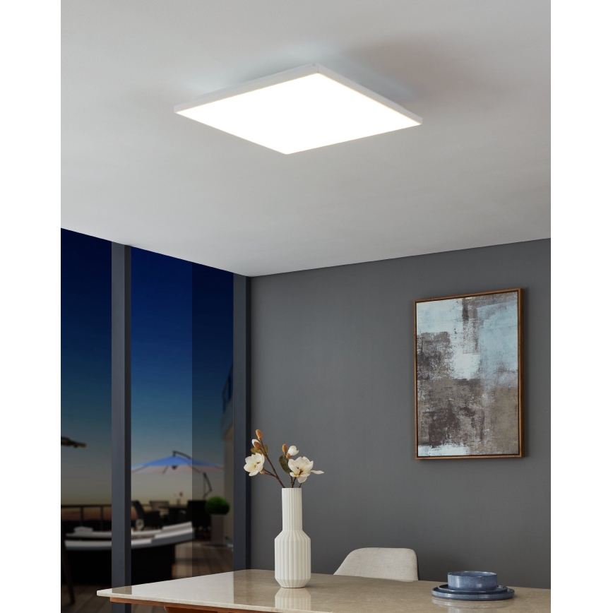 Eglo - Стельовий LED світильник LED/21W/230V