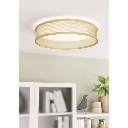Eglo - Стельовий LED світильник LED/20W/230V золотий