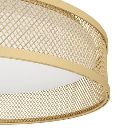 Eglo - Стельовий LED світильник LED/20W/230V золотий