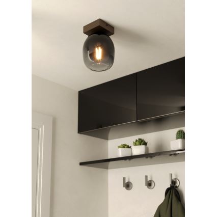 Eglo - Потолочный светильник 1xE27/40W/230V