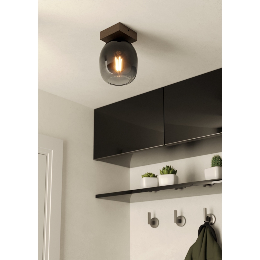 Eglo - Потолочный светильник 1xE27/40W/230V