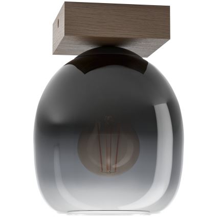 Eglo - Стельовий світильник 1xE27/40W/230V