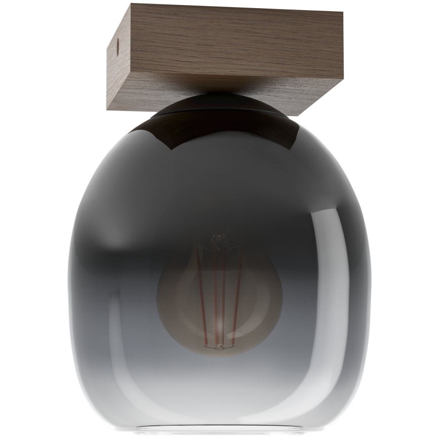 Eglo - Стельовий світильник 1xE27/40W/230V