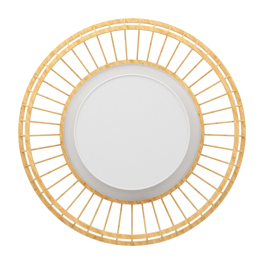 Eglo - Потолочный RGBW-светильник с регулированием яркости LED/22W/230V 2700-6500K