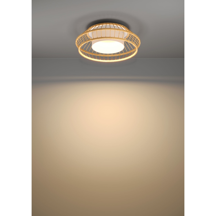 Eglo - Потолочный RGBW-светильник с регулированием яркости LED/22W/230V 2700-6500K