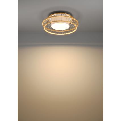 Eglo - Стельовий RGBW-світильник з регулюванням яскравості LED/22W/230V 2700-6500K