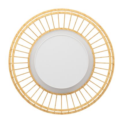 Eglo - Стельовий RGBW-світильник з регулюванням яскравості LED/22W/230V 2700-6500K