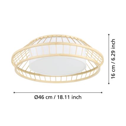 Eglo - Стельовий RGBW-світильник з регулюванням яскравості LED/22W/230V 2700-6500K