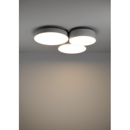 Eglo - Светодиодный потолочный RGBW-светильник с регулированием яркости 3xLED/7,5W/230V 2700-6500K серый